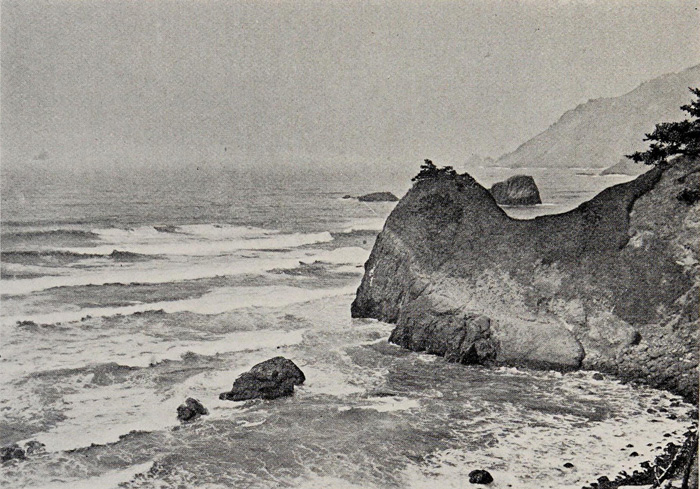 THE OREGON SEA-BLUFFS